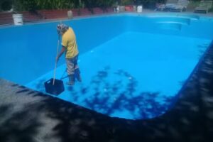 Whitesnake servicios y mantenimientos