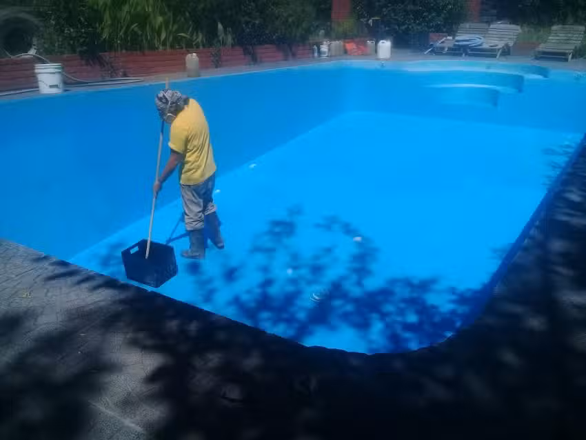 Whitesnake servicios y mantenimientos